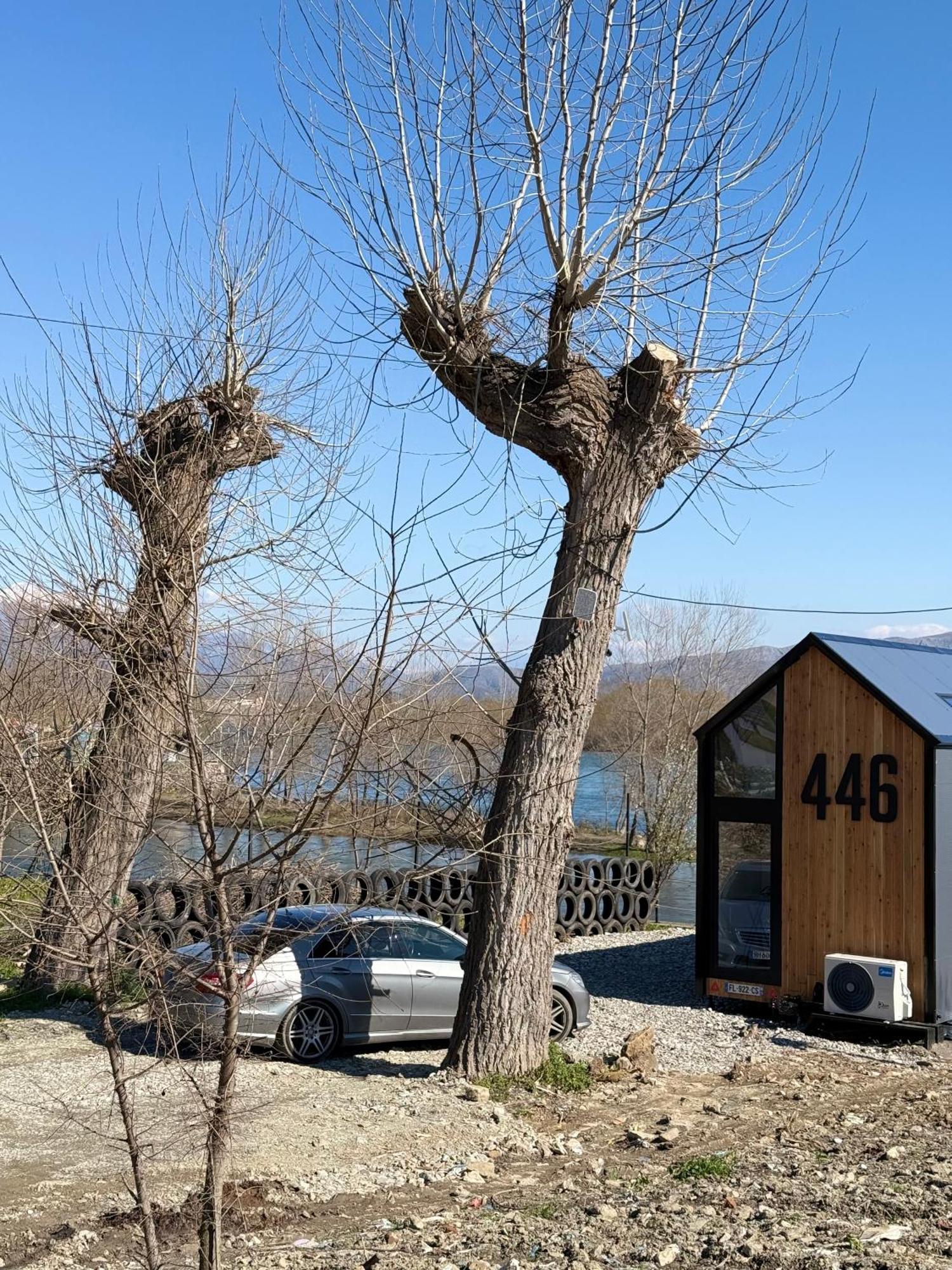 446 Tiny House Zues *